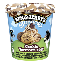 BEN & JERRY'S SUNDAE COOKIE VERMONT-STER 324g