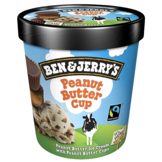 BEN & JERRY'S PEANUT BUTTER CUP  425g