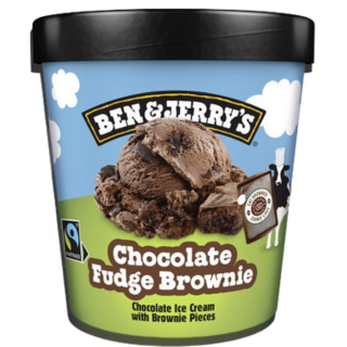 BEN & JERRY'S CHOCOLATE FUDGE BROWNIE 408g